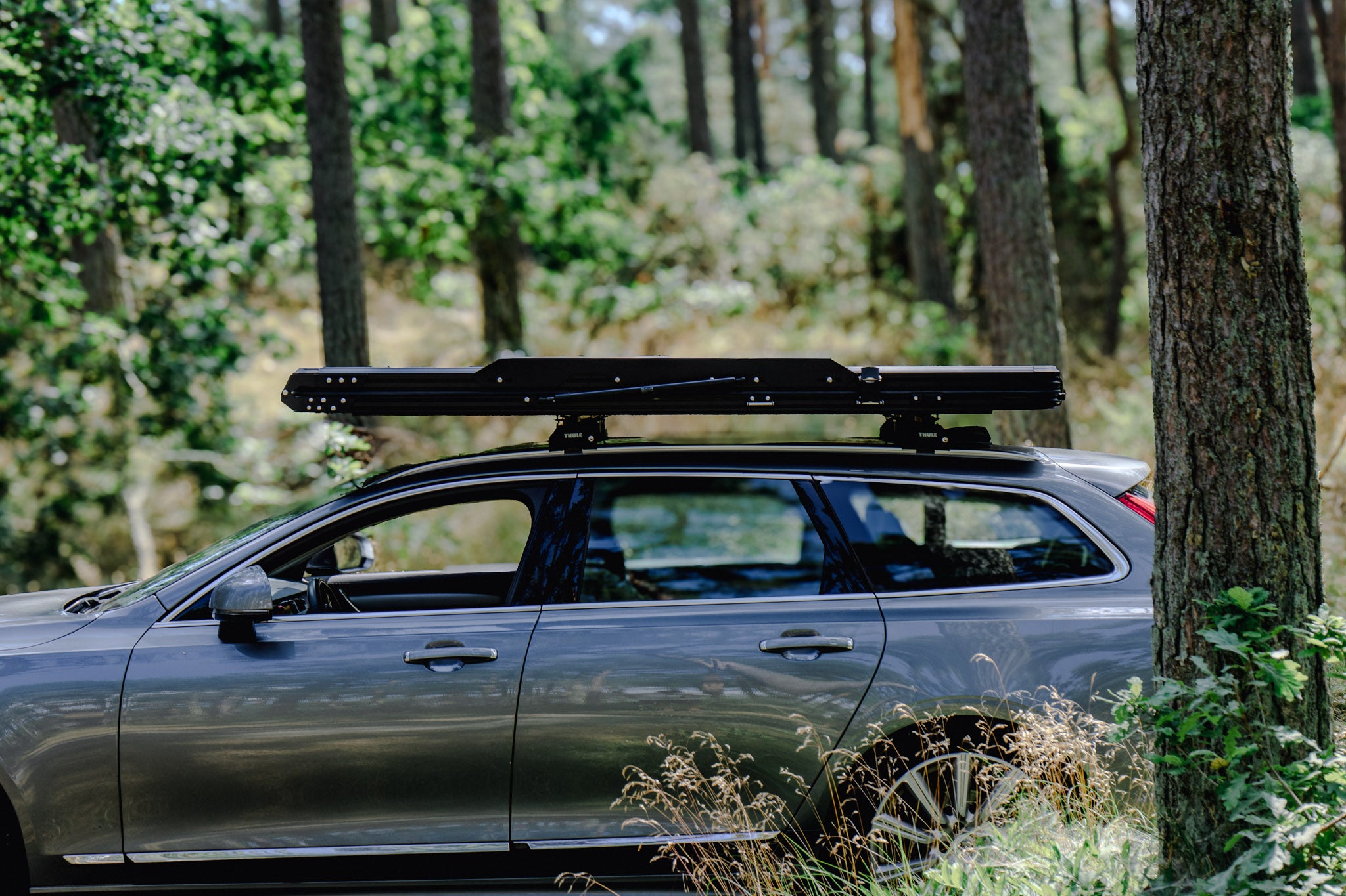 Overland Flow2